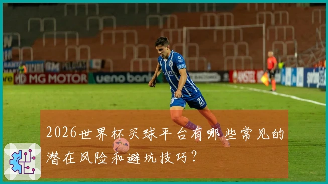 2026世界杯买球平台有哪些常见的潜在风险和避坑技巧？
