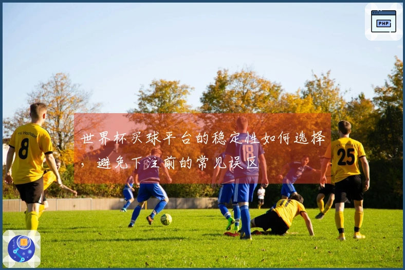 世界杯买球平台的稳定性如何选择，避免下注前的常见误区