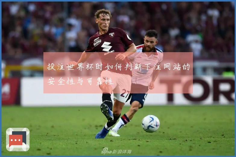 投注世界杯时如何判断下注网站的安全性与可靠性
