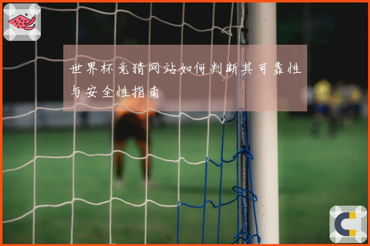 世界杯竞猜网站如何判断其可靠性与安全性指南