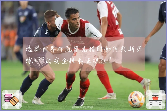 选择世界杯冠军竞猜时如何判断买球APP的安全性和正规性？