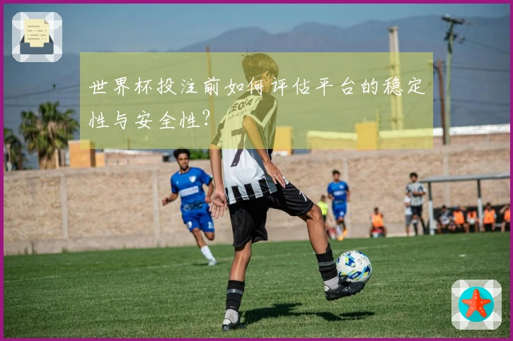 世界杯投注前如何评估平台的稳定性与安全性？