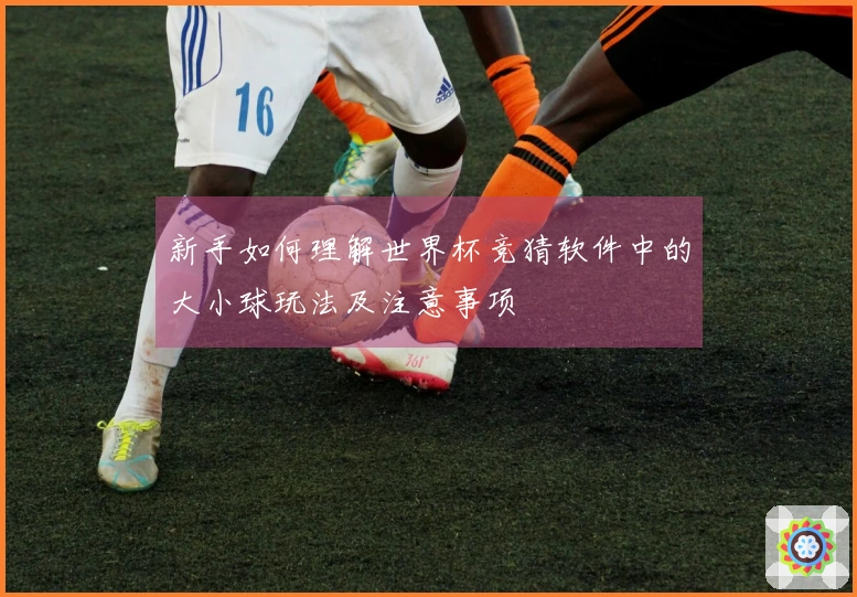 新手如何理解世界杯竞猜软件中的大小球玩法及注意事项