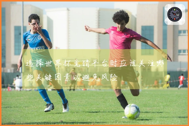 选择世界杯竞猜平台时应该关注哪些关键因素以避免风险