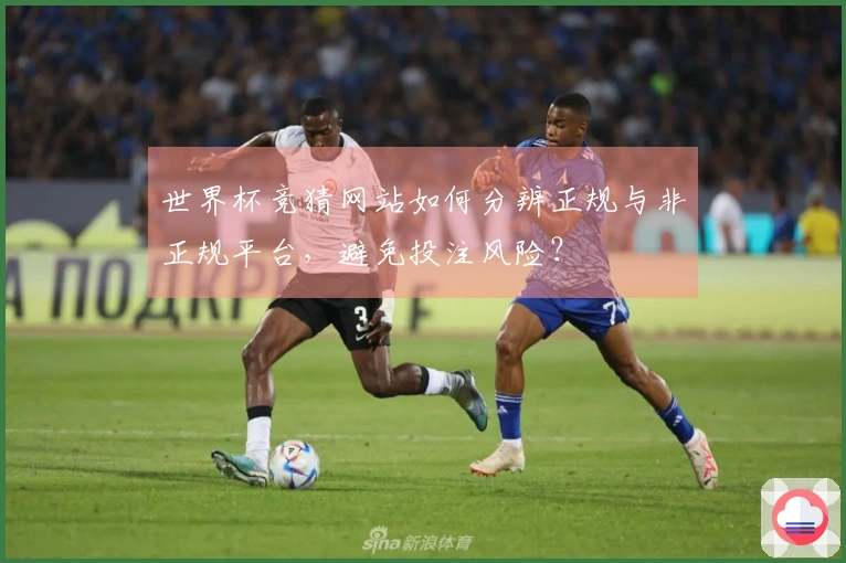 世界杯竞猜网站如何分辨正规与非正规平台，避免投注风险？