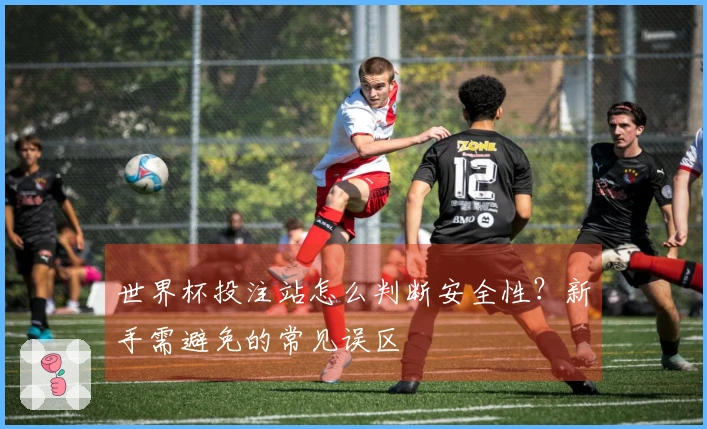 世界杯投注站怎么判断安全性？新手需避免的常见误区