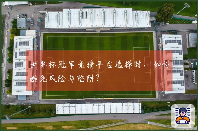 世界杯冠军竞猜平台选择时，如何避免风险与陷阱？