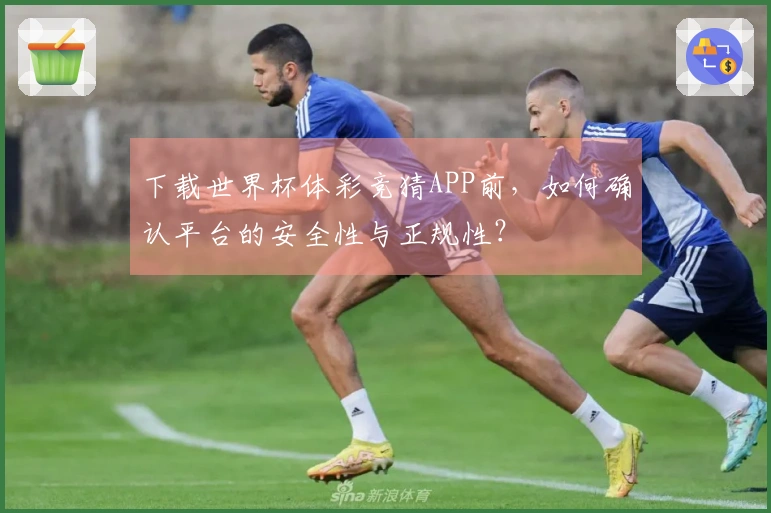 下载世界杯体彩竞猜APP前，如何确认平台的安全性与正规性？