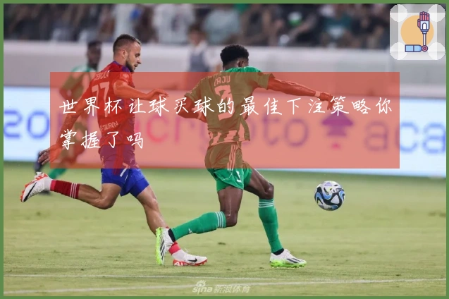 世界杯让球买球的最佳下注策略你掌握了吗