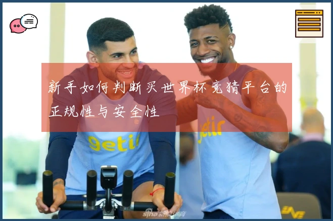 新手如何判断买世界杯竞猜平台的正规性与安全性