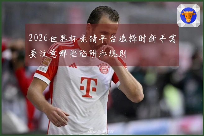 2026世界杯竞猜平台选择时新手需要注意哪些陷阱和规则