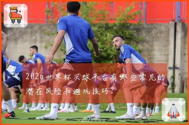 2026世界杯买球平台有哪些常见的潜在风险和避坑技巧？