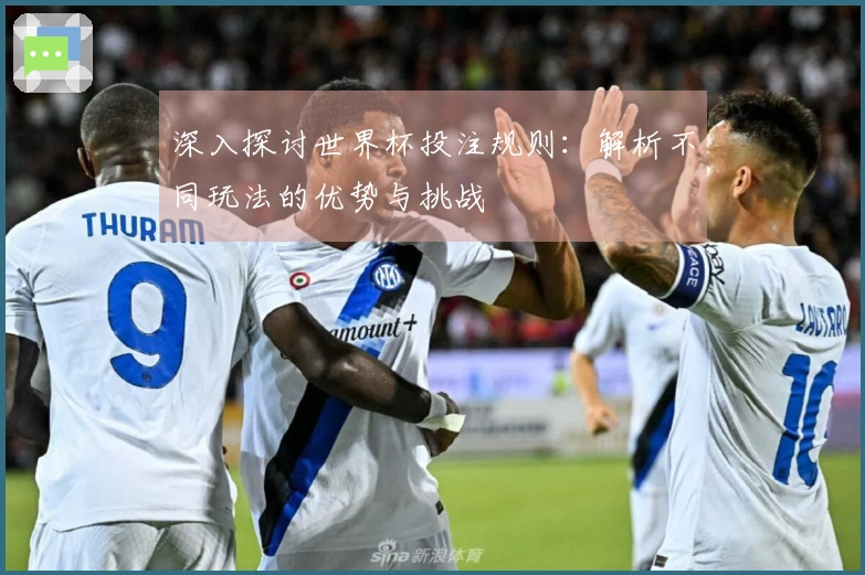 深入探讨世界杯投注规则：解析不同玩法的优势与挑战