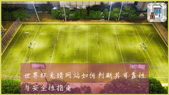 世界杯竞猜网站如何判断其可靠性与安全性指南
