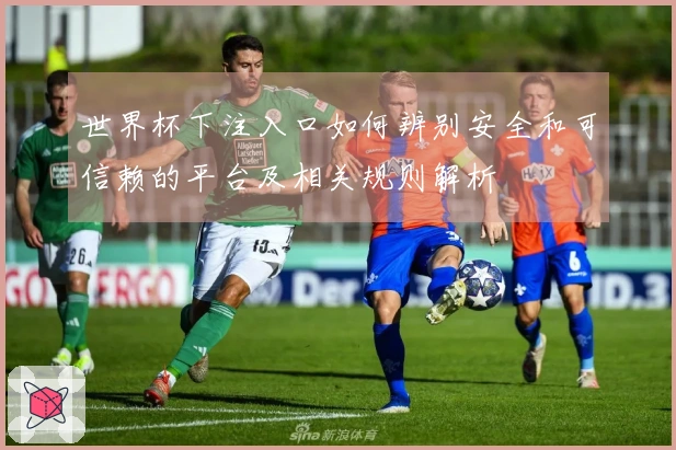 世界杯下注入口如何辨别安全和可信赖的平台及相关规则解析