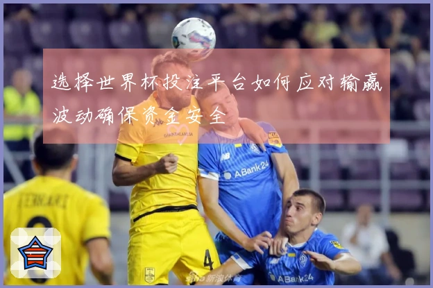 选择世界杯投注平台如何应对输赢波动确保资金安全