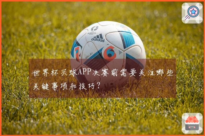 世界杯买球APP决赛前需要关注哪些关键事项和技巧？