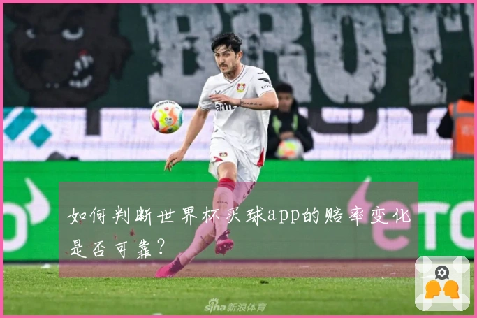 如何判断世界杯买球app的赔率变化是否可靠？
