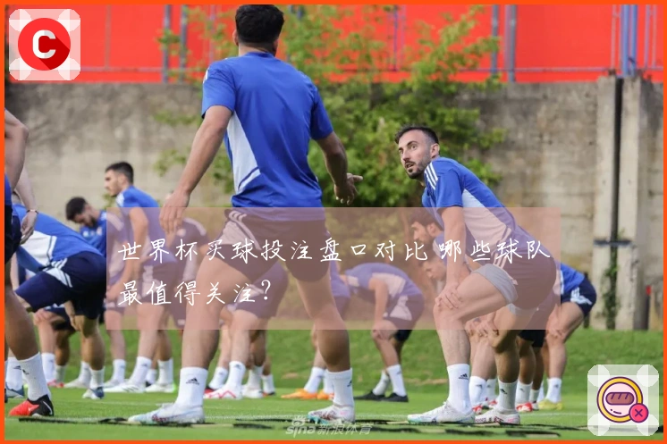 世界杯买球投注盘口对比 哪些球队最值得关注？