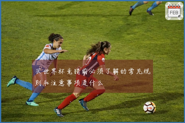 买世界杯竞猜前必须了解的常见规则和注意事项是什么