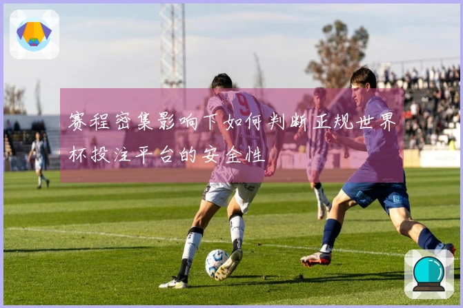 赛程密集影响下如何判断正规世界杯投注平台的安全性