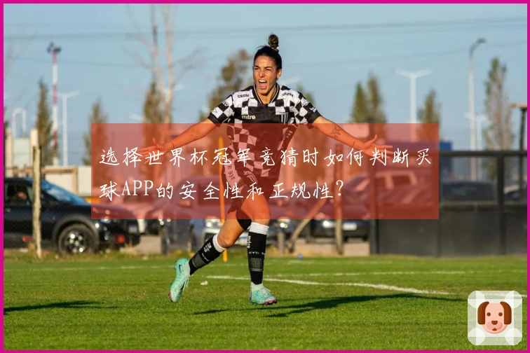 选择世界杯冠军竞猜时如何判断买球APP的安全性和正规性？