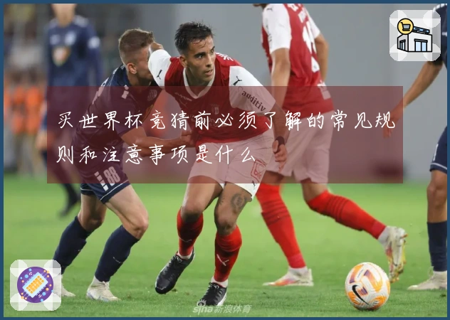 买世界杯竞猜前必须了解的常见规则和注意事项是什么