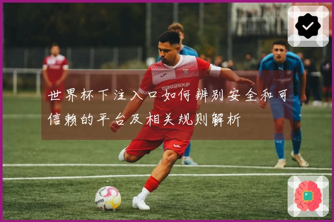世界杯下注入口如何辨别安全和可信赖的平台及相关规则解析