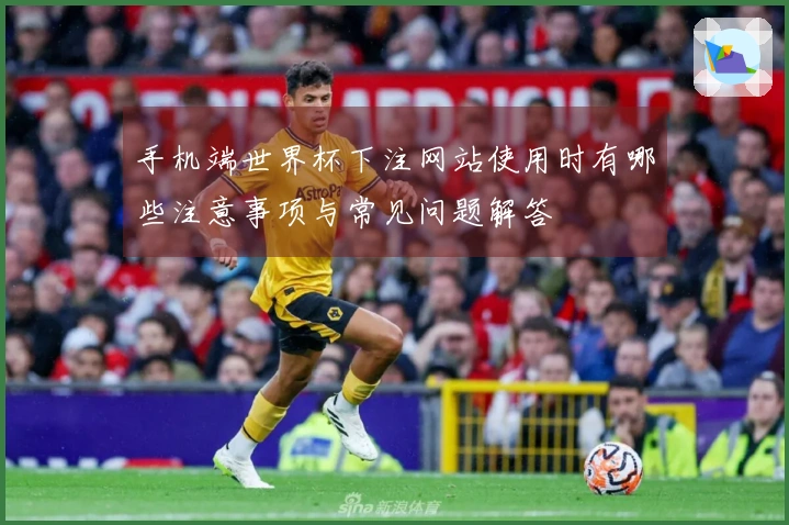 手机端世界杯下注网站使用时有哪些注意事项与常见问题解答