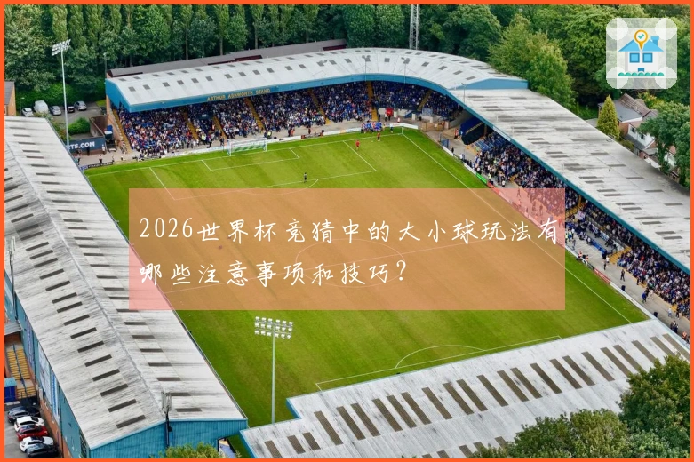 2026世界杯竞猜中的大小球玩法有哪些注意事项和技巧？