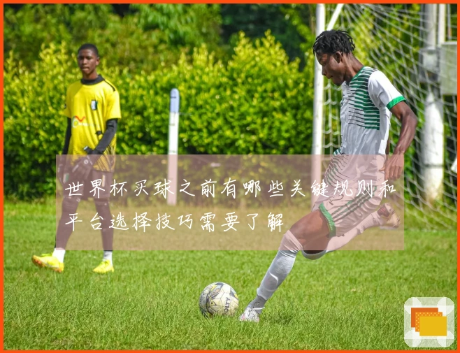 世界杯买球之前有哪些关键规则和平台选择技巧需要了解