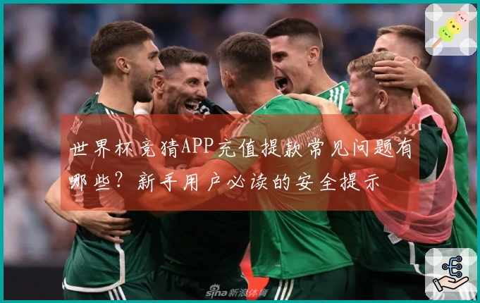 世界杯竞猜APP充值提款常见问题有哪些？新手用户必读的安全提示