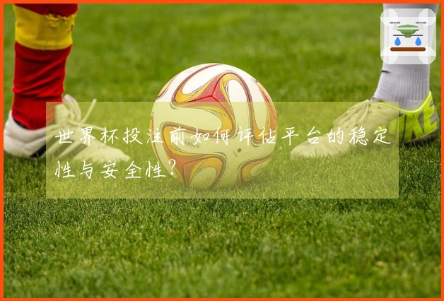 世界杯投注前如何评估平台的稳定性与安全性？