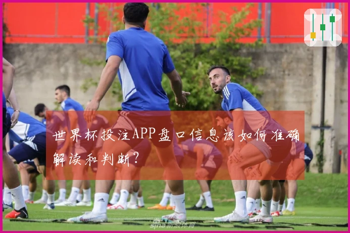 世界杯投注APP盘口信息该如何准确解读和判断？
