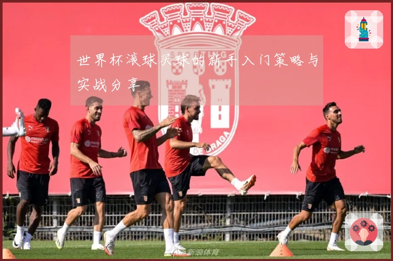 世界杯滚球买球的新手入门策略与实战分享
